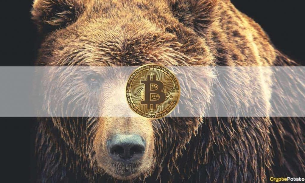 Bitcoin Bear Market Fears Sparked by Institutional Outflows and Whale Capitulation