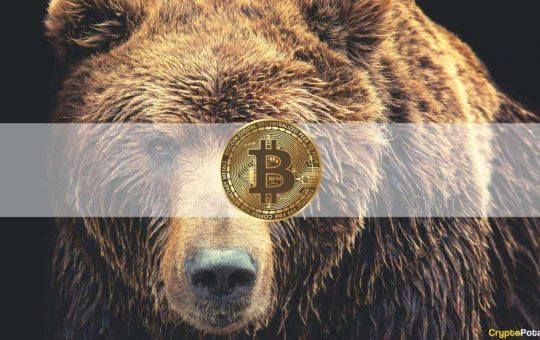 Bitcoin Bear Market Fears Sparked by Institutional Outflows and Whale Capitulation