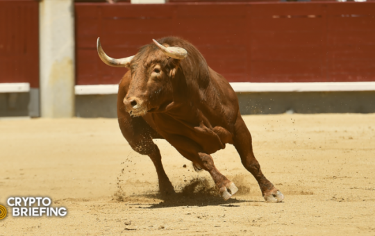 Crypto Bull Market "Definitely Not Over": 3AC's Su Zhu