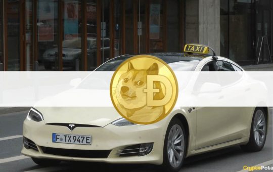 Elon Musk Inspired a German Tesla Taxi Company to Enable Dogecoin Payments