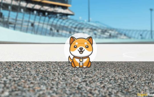 Baby Doge Coin Will Appear on NASCAR Xfinity Series