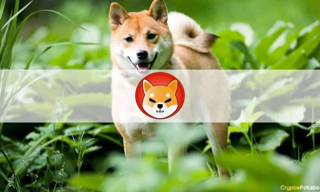 Shiba Inu’s Newly Launched ShibaSwap DEX Explodes With $1.5B TVL in ...