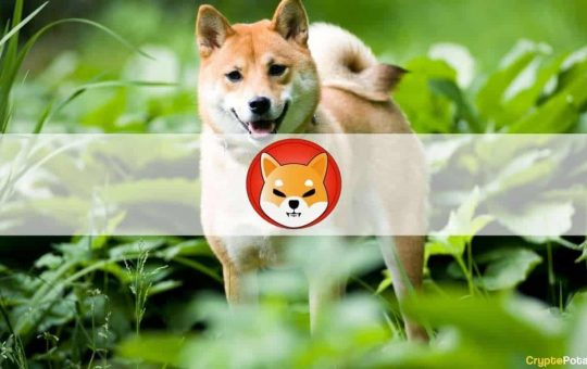 Shiba Inu’s Newly Launched ShibaSwap DEX Explodes With $1.5B TVL in Less Than 2 Days