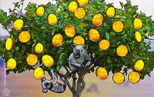 Average Aussie crypto portfolio grew 258% in FY 20-21, survey reveals