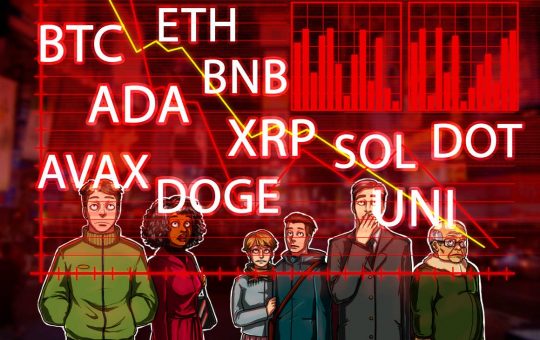 BTC, ETH, ADA, BNB, XRP, SOL, DOT, DOGE, UNI, AVAX