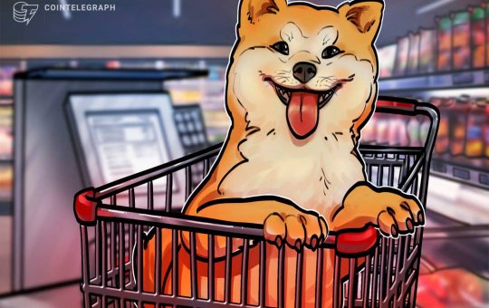 Shiba Inu (SHIB) jumps 40% on Elon Musk’s cryptic endorsement, Coinbase listing