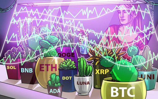 Price analysis 10/11: BTC, ETH, BNB, ADA, XRP, SOL, DOGE, DOT, LUNA, UNI