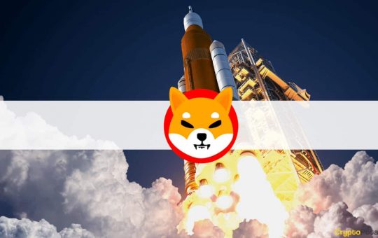 Shiba Inu (SHIB) Skyrockets 100% in Days Following a Big Whale Buy