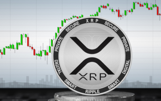 A Fundamental Analysis on Ripple (XRP)