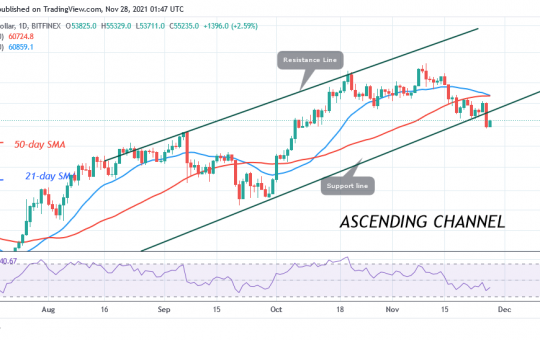 Bitcoin (BTC) Price Prediction: BTC/USD Fails To Sustain Above $58k as Bitcoin Risks $50k Low