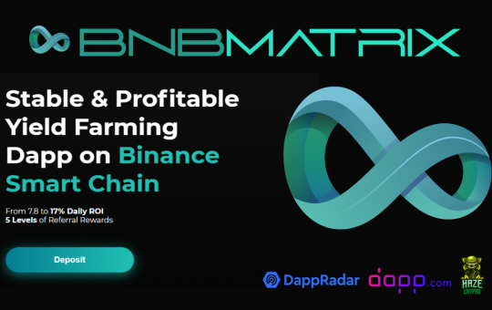 Stable, Profitable Yield Farming dApp on Binance Smart Chain