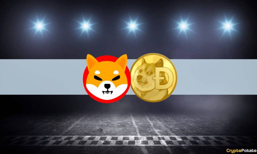 Surging 18% Flippening Back Shiba Inu as Top 9