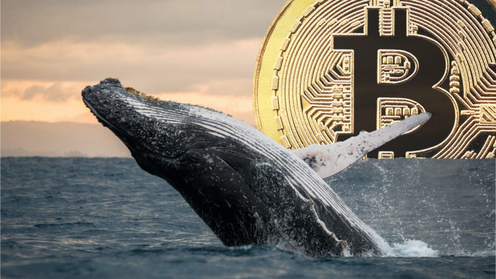 While BTC Skyrocketed to $69K, Whale From 2013 Transfers $147 Million Worth of 'Sleeping Bitcoins' – Bitcoin News