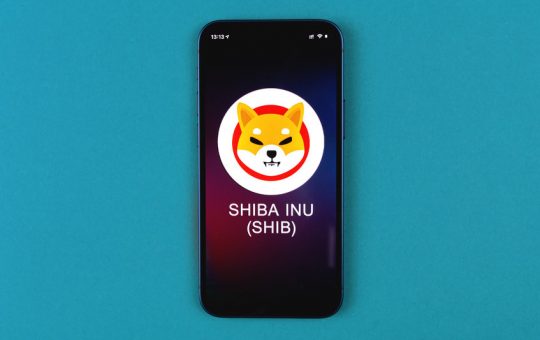 5 Reasons why you should buy Shiba Inu today for 2022 gains