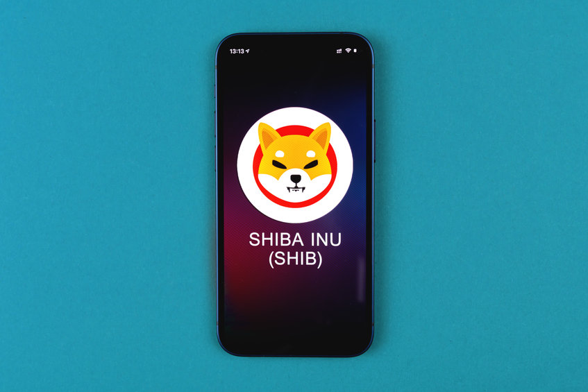 5 Reasons why you should buy Shiba Inu today for 2022 gains