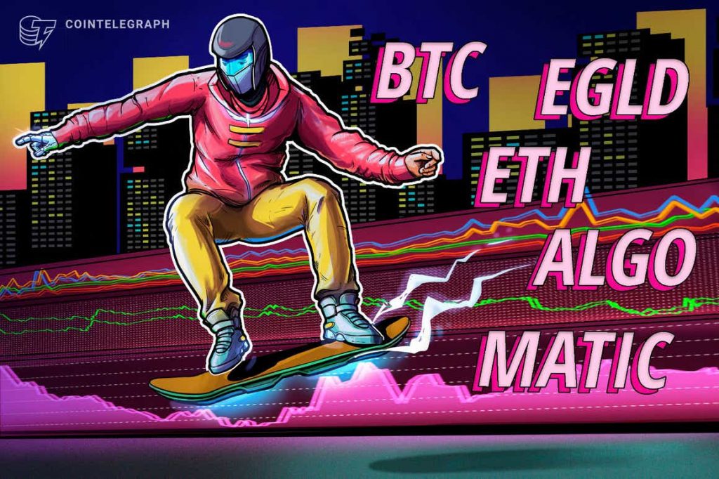 BTC, ETH, MATIC, ALGO, EGLD