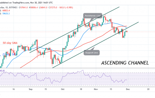 Bitcoin (BTC) Price Prediction: BTC/USD Trades in a Tight Range as Bitcoin Fluctuates Above $56k