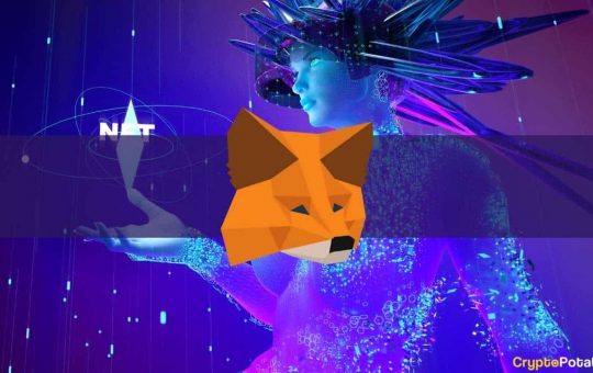 MetaMask Teases In-App NFT Extension