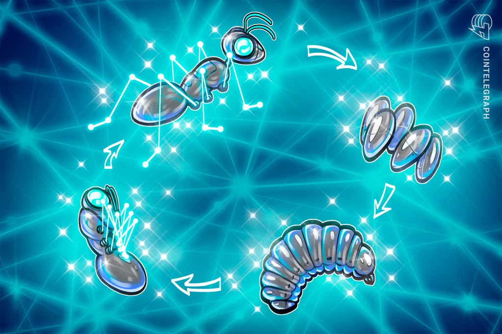 The life cycle of smart contracts in the blockchain ecosystem