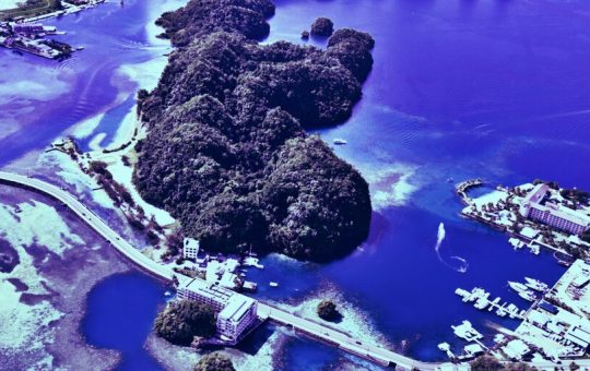 Why the Island Nation of Palau Is Going Crypto