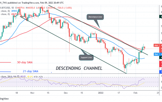 Bitcoin (BTC) Price Prediction: BTC/USD Is Vulnerable below $42K as Bitcoin Holds above It