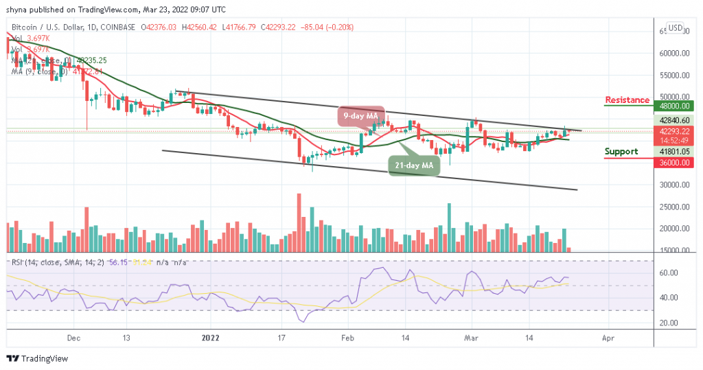 Bitcoin Price Prediction