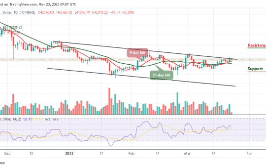 Bitcoin Price Prediction