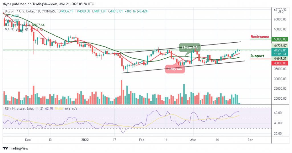 Bitcoin Price Prediction