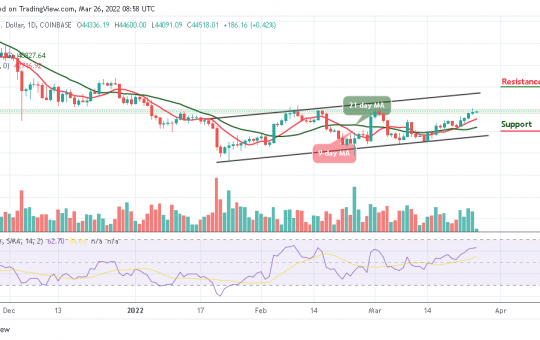 Bitcoin Price Prediction