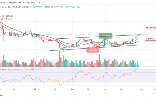 Bitcoin Price Prediction