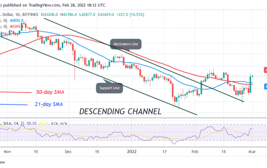 Bitcoin (BTC) Price Prediction: BTC/USD Stuck below $45K High as Bitcoin Risks Another Decline