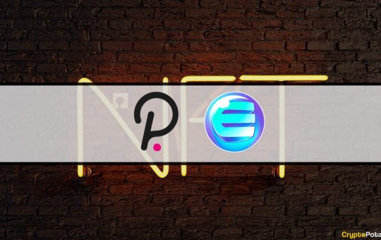 Enjin's Efinity Becomes the First NFT Parachain on Polkadot