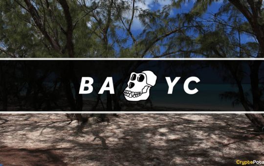 BAYC’s Otherside Land Sale: Everything You Need to Know