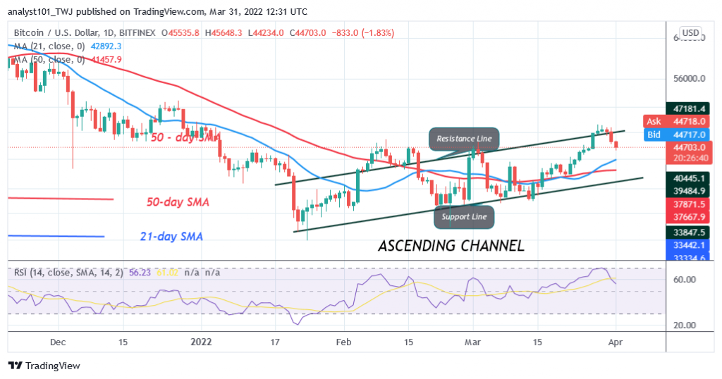 Bitcoin (BTC) Price Prediction: BTC/USD Reaches Oversold Region as Bitcoin Holds Above $44K