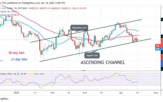 Bitcoin Price Prediction for Today April 16: Buyers Defend Current Support as BTC Hovers Above $40K