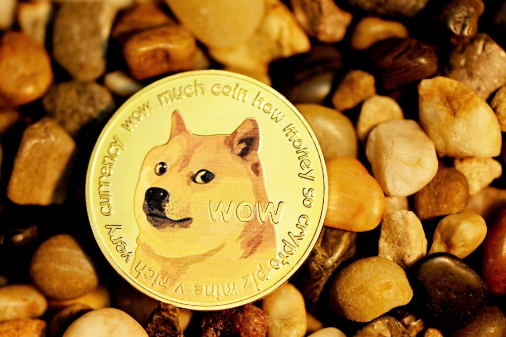 Elon Tweets Video Explaining Everything About Dogecoin 10