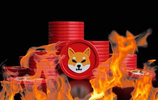 Shiba Inu's New Burn Portal Rewards SHIB Burners for Destroying Their Tokens