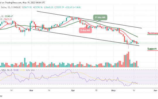 Bitcoin Price Prediction