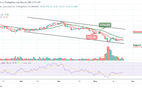 Polkadot Price Prediction