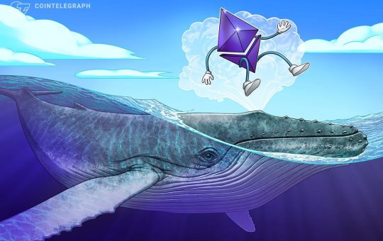 Ethereum whales get busy as transactions hit highest point since January