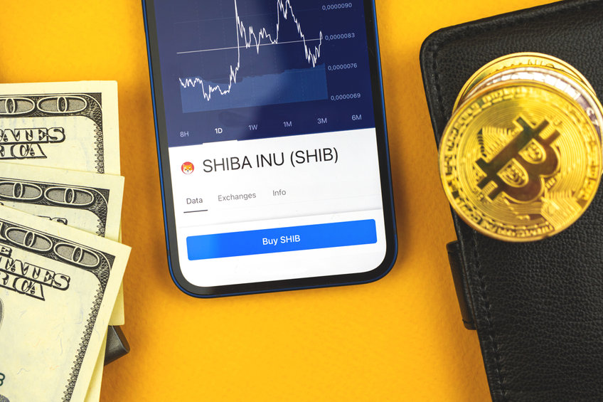 Shiba Inu (SHIB) could drop by around 15% before any bull run