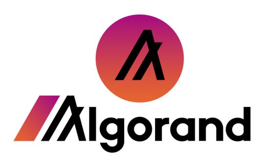 Algorand names COO Sean Ford as Interim CEO