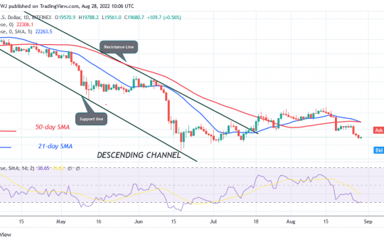 Bitcoin Price Prediction for Today August 28: BTC Price Risks Further Decline, Slides to $19.8K Low