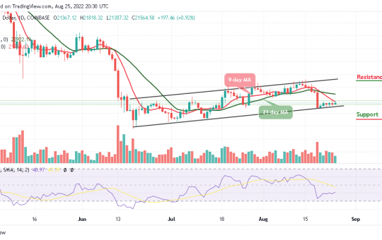 BTC Revives Back Above $40,000 as the Outlook on Tamadoge is Bullish