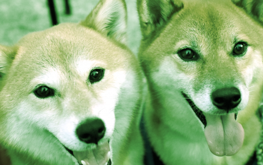 Shiba Inu, Dogecoin Up Double-Digits Over the Week