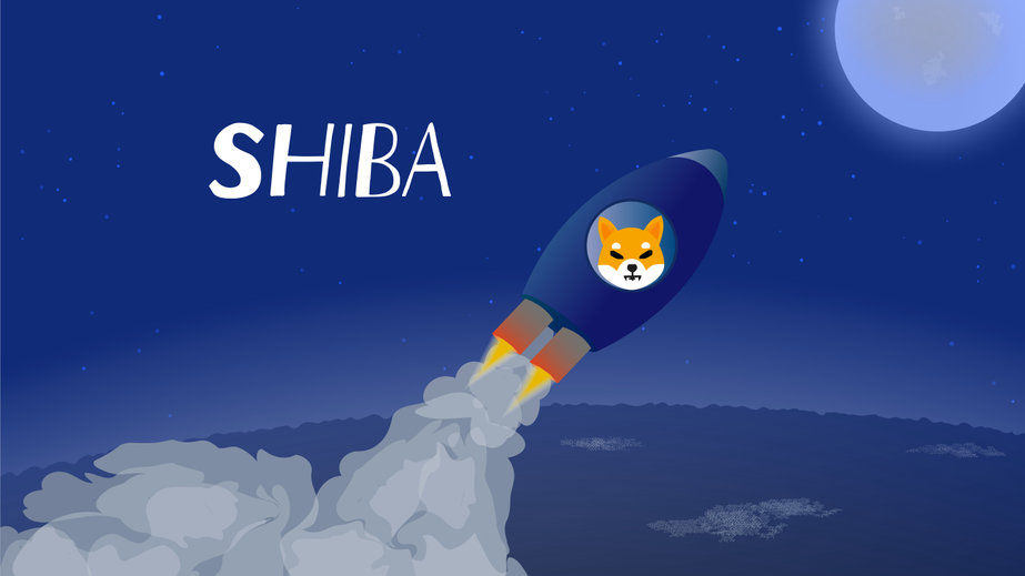 Shiba Inu retraces back to breakout support