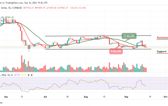 BTC Could Touch $19,000 Support; TAMA is Extremely Cheap Right Now