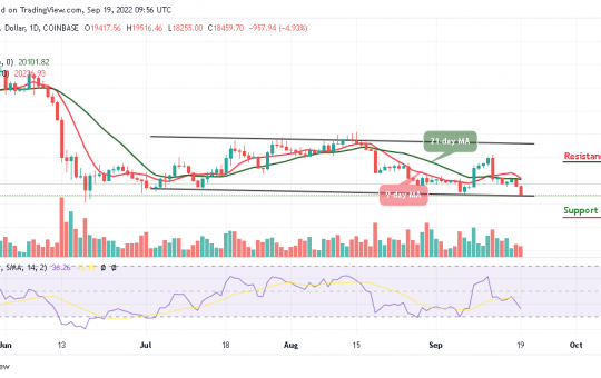 BTC Slumps Below $19,000; TAMA is now sold out!