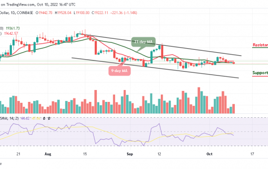 Bitcoin Price Prediction for Today, October 10: BTC/USD Bears Could Demolish $19,000 Support