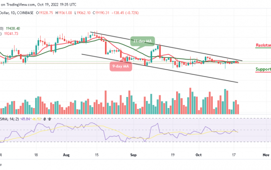 Bitcoin Price Prediction for Today, October 19: BTC/USD Price Battles with $19,000